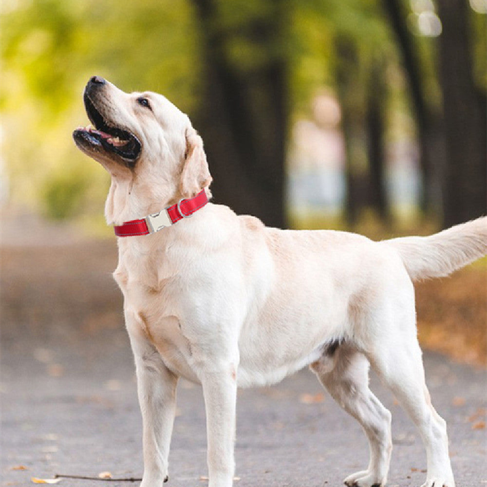 Collar de Nylon Reflectante para Perros – Visibilidad y Estilo en Cada Paseo