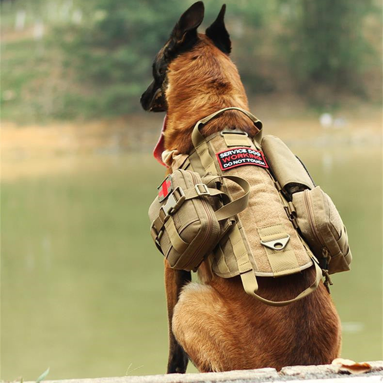Arnés Táctico Militar para Perros con Sistema MOLLE – Resistente, Ajustable y Multifuncional
