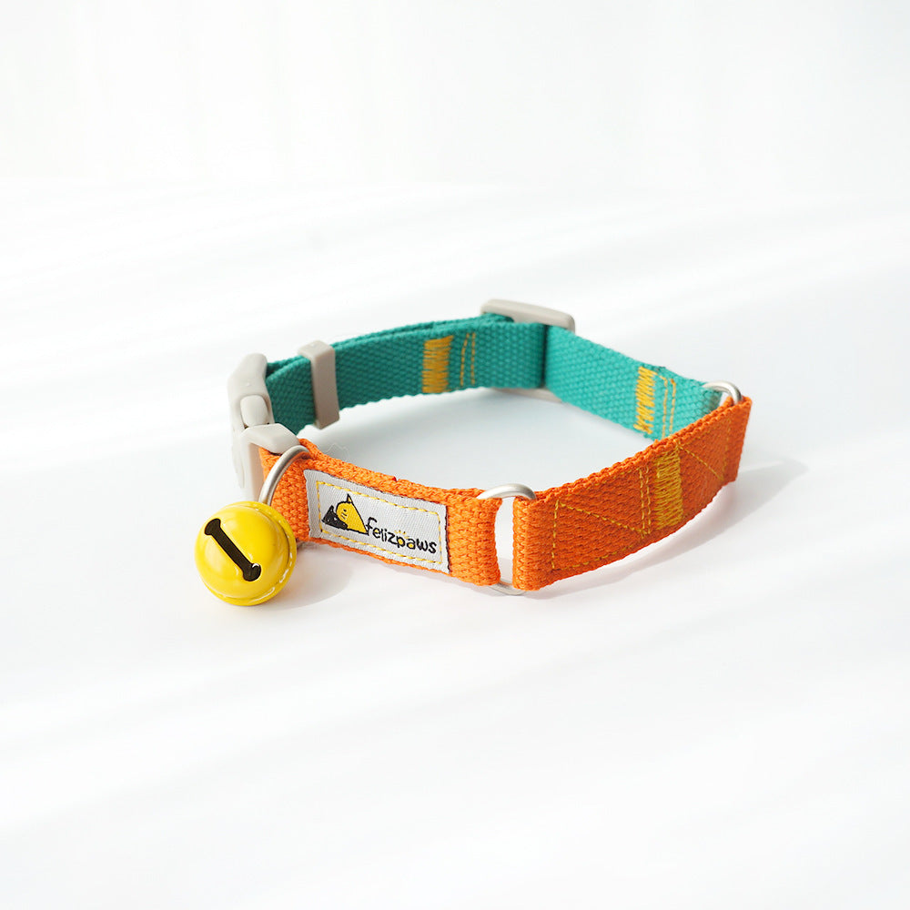 Collar de Color Vibrante Estilo “Hit Color” para Perros – Divertido, Ajustable y Seguro