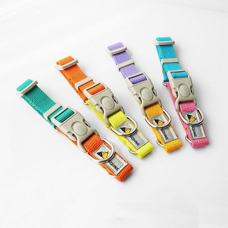 Collar de Color Vibrante Estilo “Hit Color” para Perros – Divertido, Ajustable y Seguro
