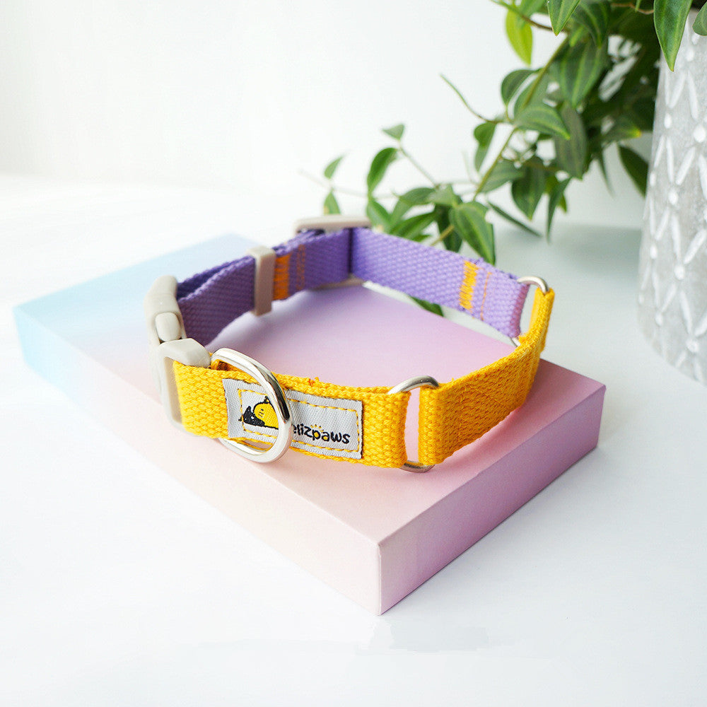Collar de Color Vibrante Estilo “Hit Color” para Perros – Divertido, Ajustable y Seguro