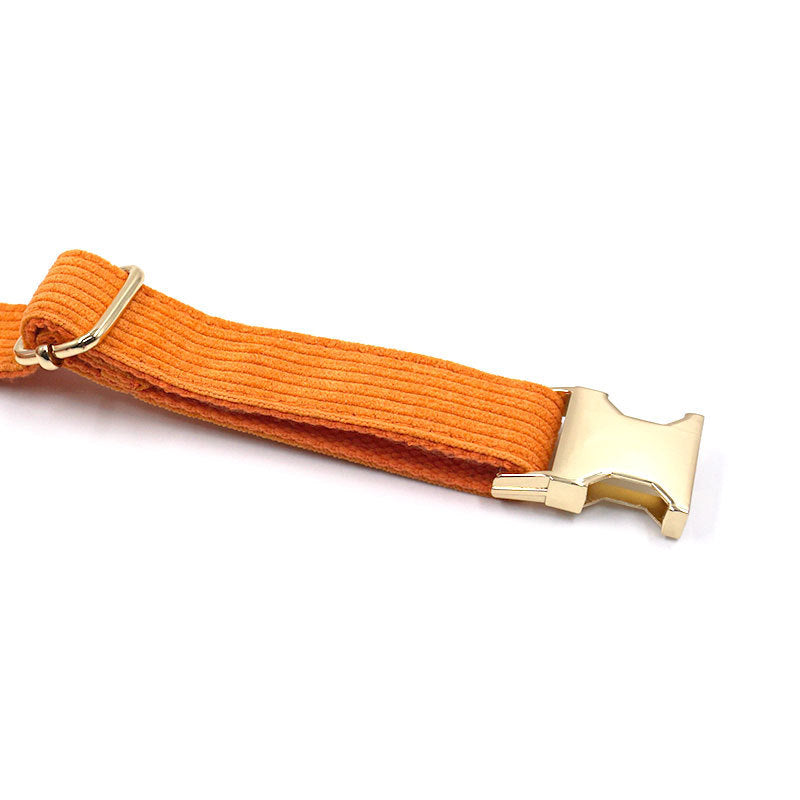 Collar de Pana Suave con Hebilla Metálica para Perros – Comodidad y Estilo Clásico