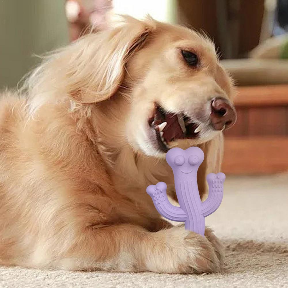 Mordedor Cactus para Perros – Juguete Interactivo y Ultra Duradero