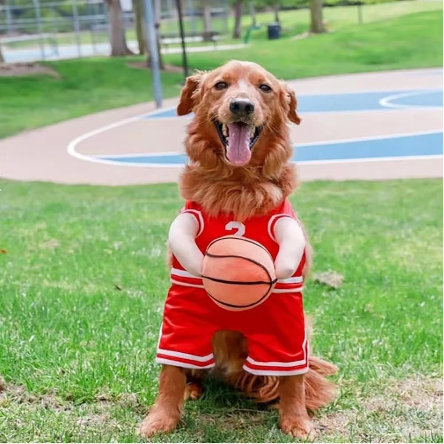 Disfraz de Jugador de Baloncesto para Perros – Divertido, Deportivo