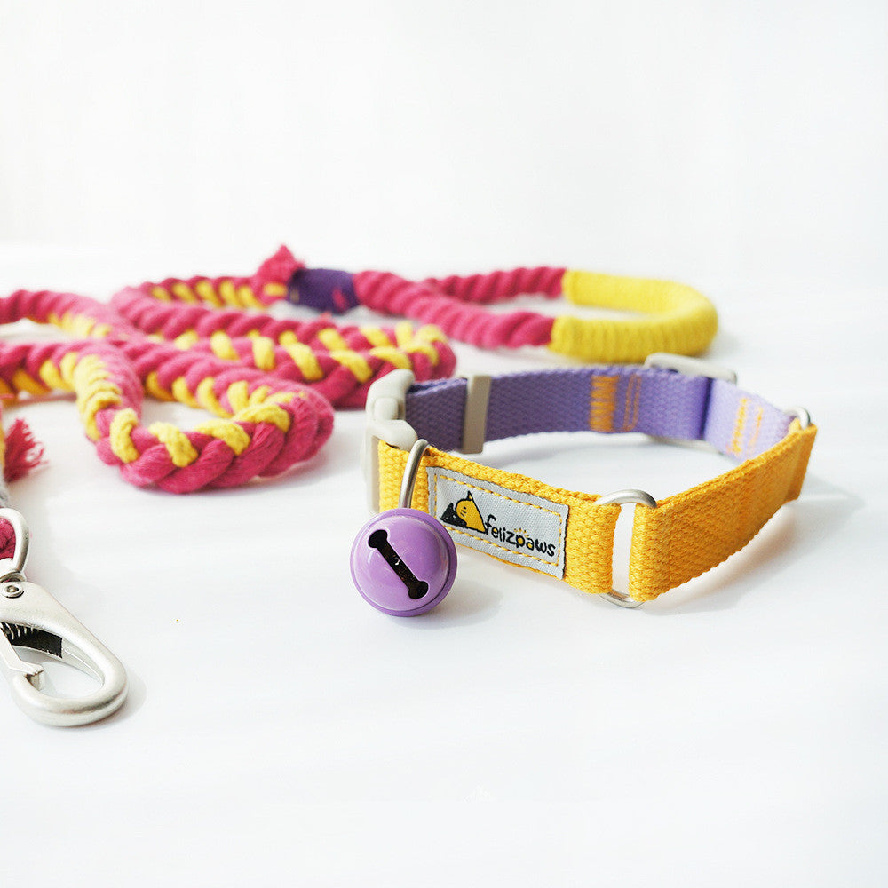 Collar de Color Vibrante Estilo “Hit Color” para Perros – Divertido, Ajustable y Seguro