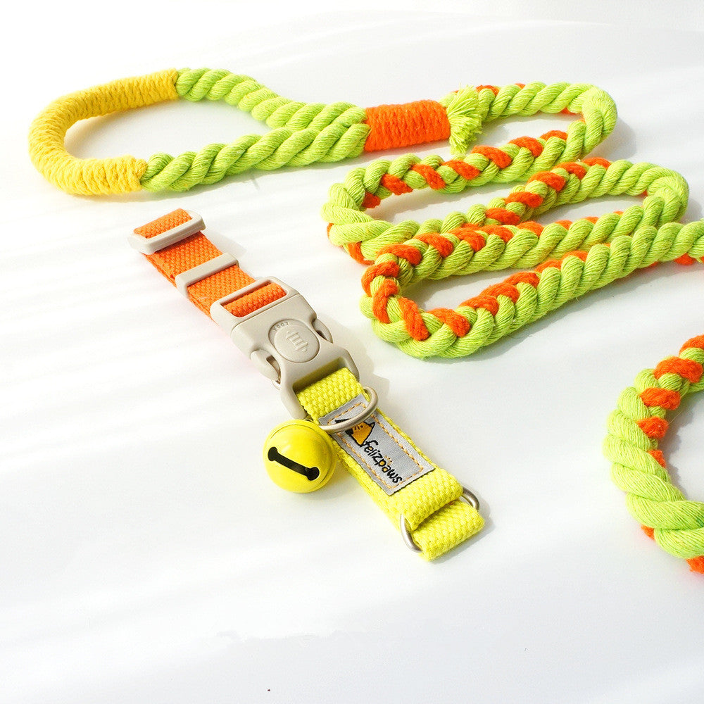 Collar de Color Vibrante Estilo “Hit Color” para Perros – Divertido, Ajustable y Seguro