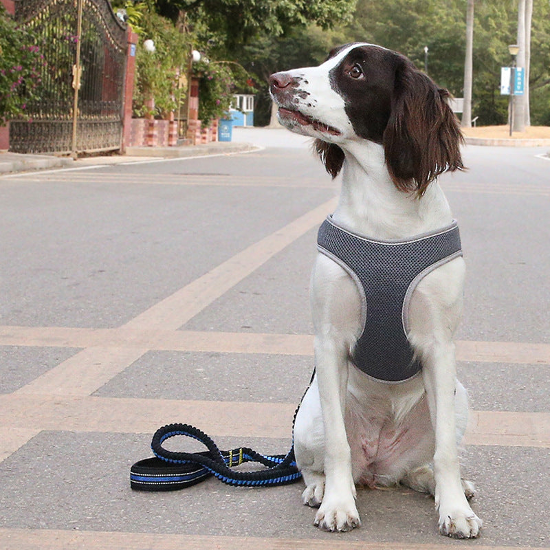 Arnés Chaleco para Perros – Cómodo, Seguro y Ajustable