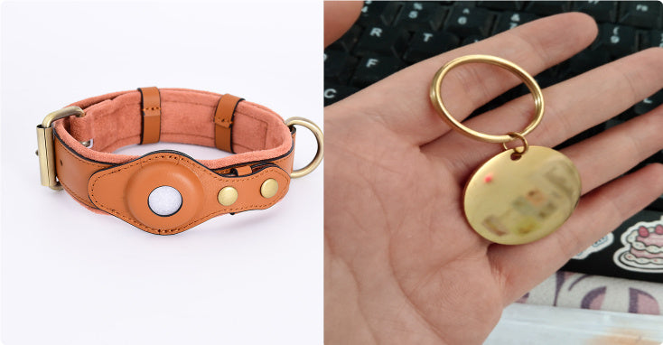 Funda Protectora para Collar GPS – Estilo, Seguridad y Antipérdida