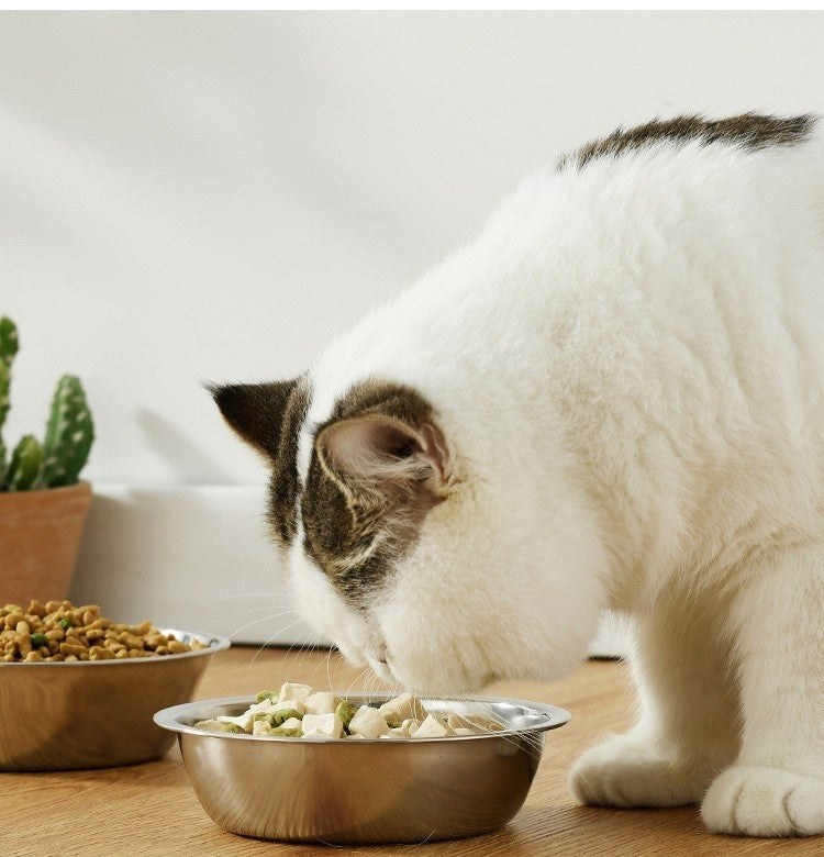 Comedero Antideslizante “Huellitas Frosted” – Plástico Ligero y Funcional para Gatos