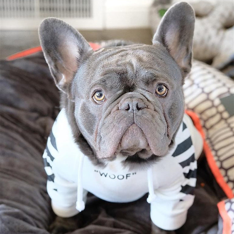 Suéter Deportivo de Rayas para Perros – Estilo Urbano, Cómodo y Divertido