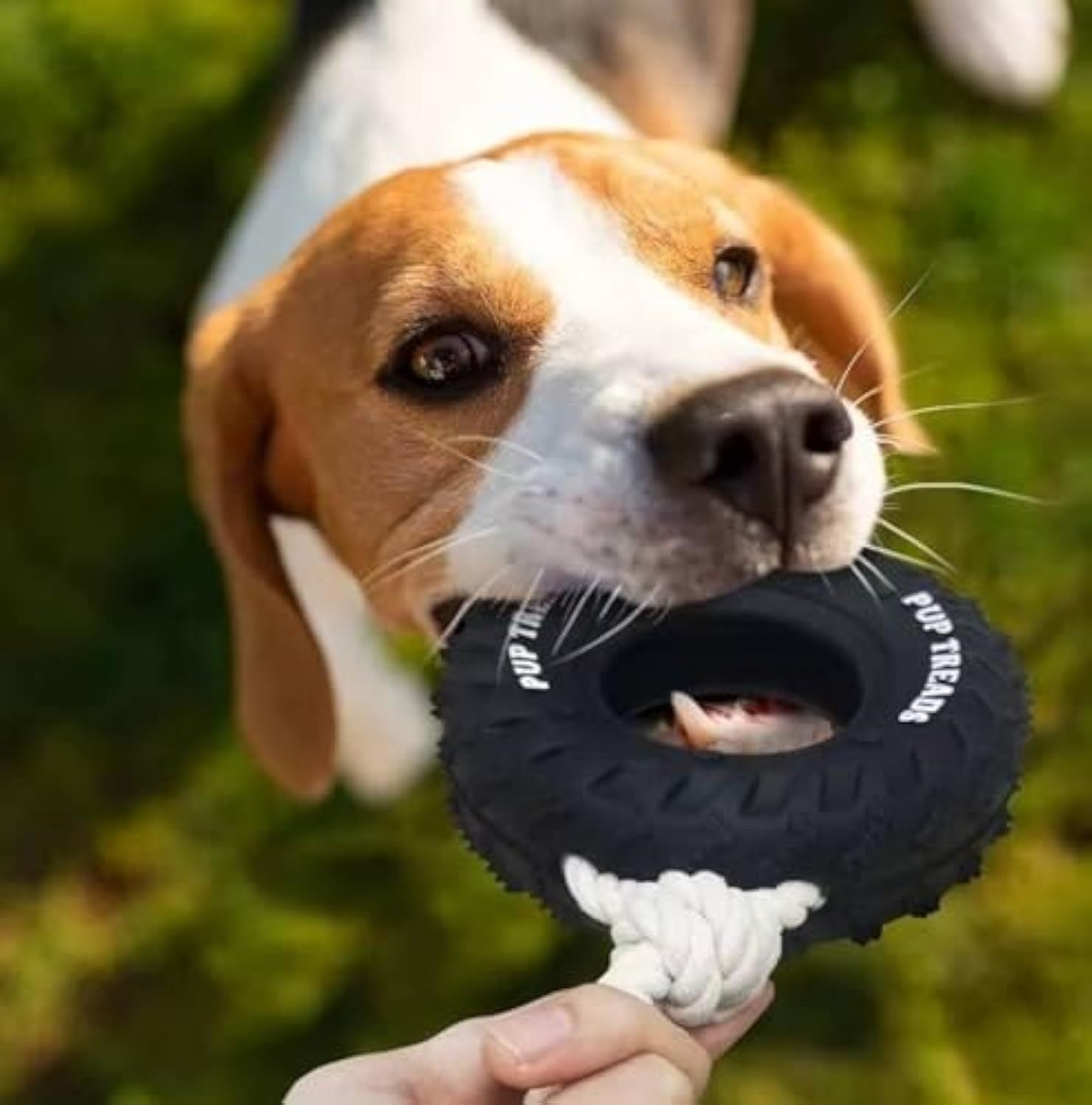 Juguete Duradero para Perros Masticadores Fuertes – Interactivo y Resistente para Razas Grandes