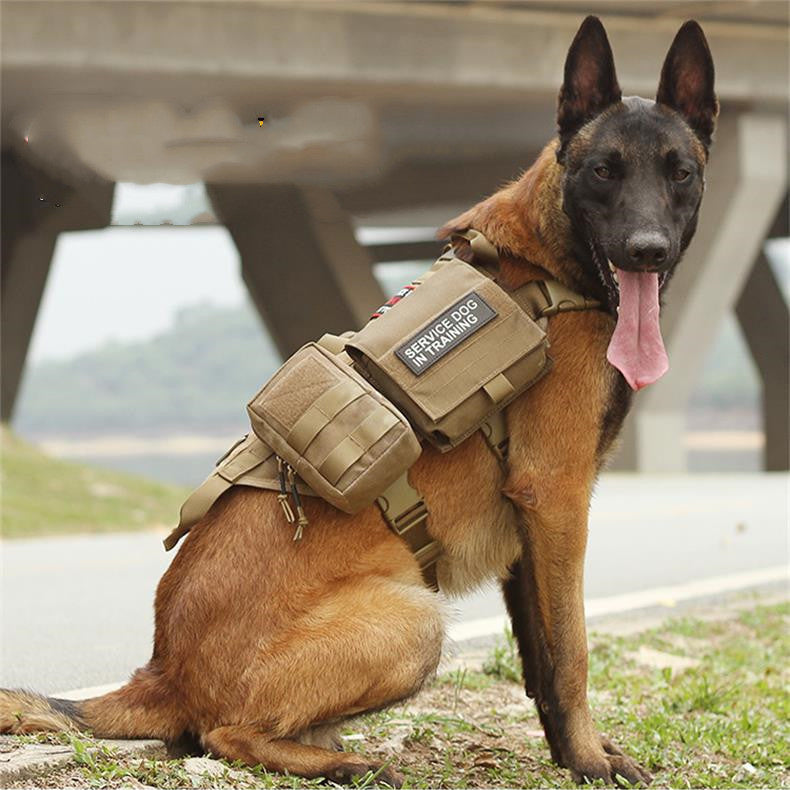 Arnés Táctico Militar para Perros con Sistema MOLLE – Resistente, Ajustable y Multifuncional