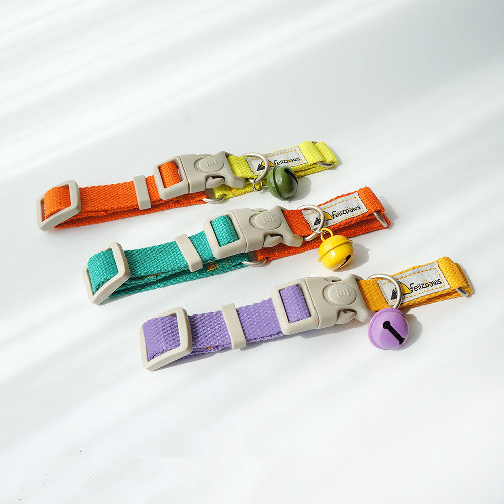 Collar de Color Vibrante Estilo “Hit Color” para Perros – Divertido, Ajustable y Seguro