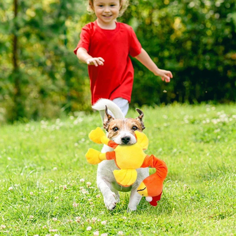 Juguete “Pollo Chillón” para Perros – Sonido Divertido e Interactivo, Ideal para Morder y Jugar