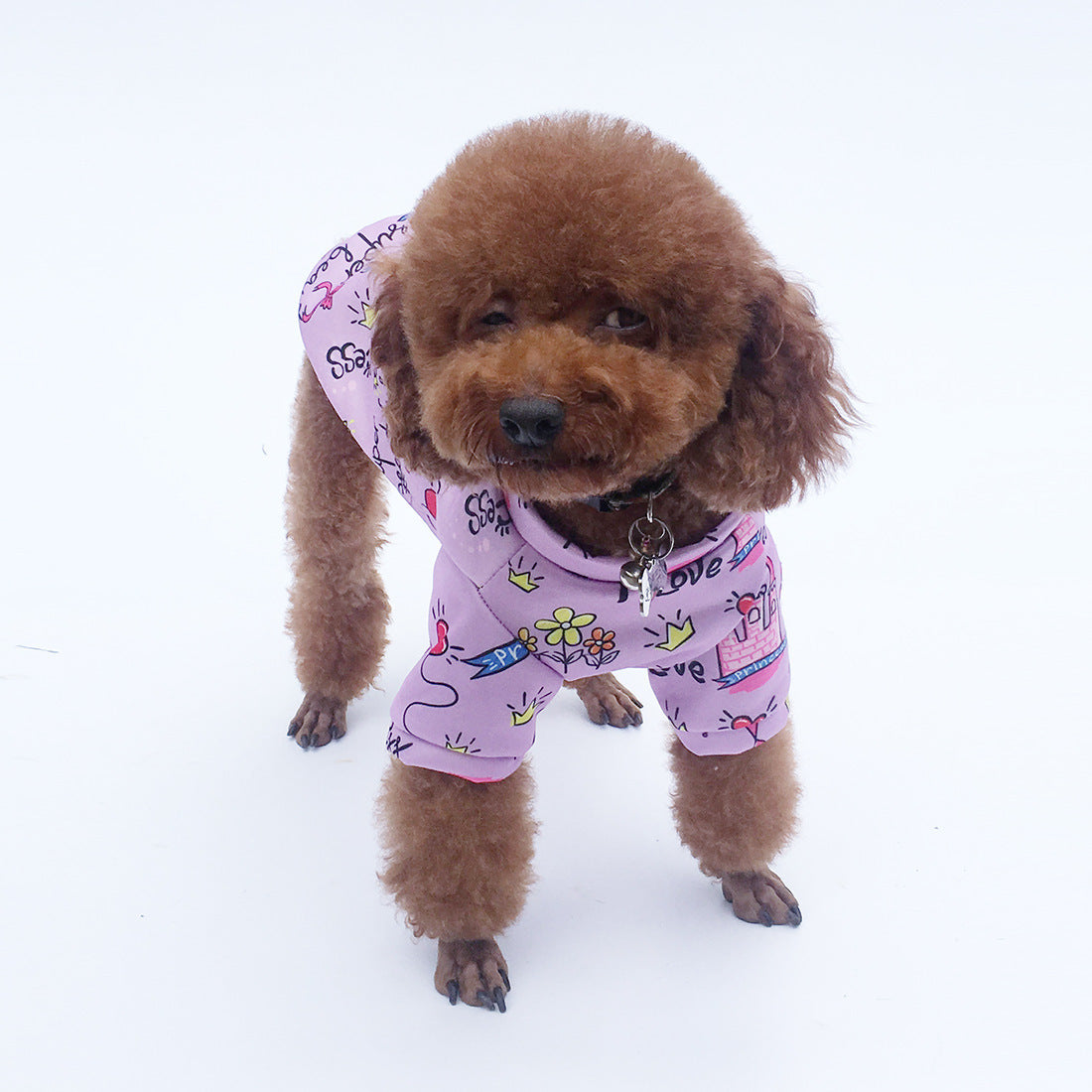 Sudadera con Capucha Estilo Princesa para Perros – Terciopelo Acolchado y Cálido para Otoño e Invierno