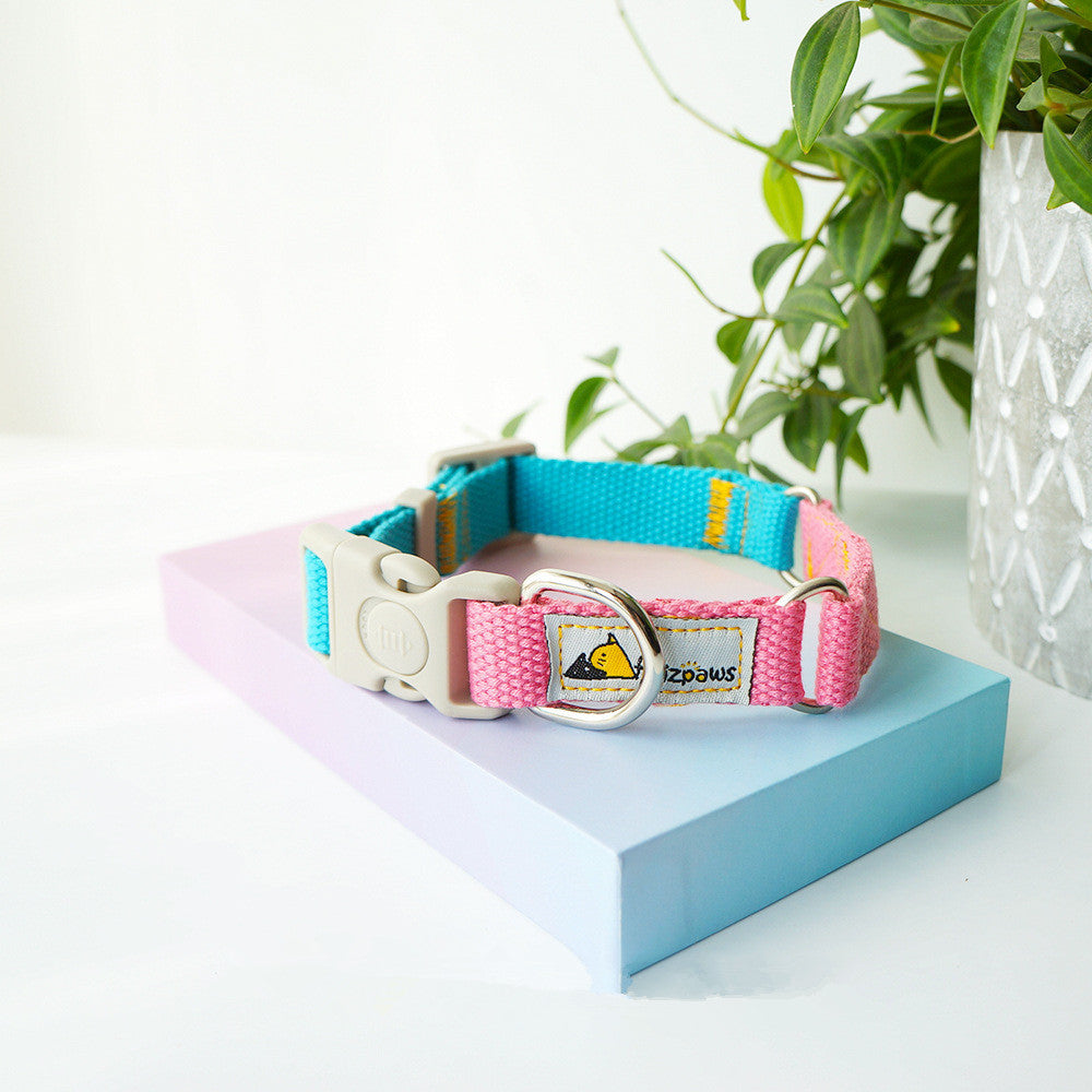 Collar de Color Vibrante Estilo “Hit Color” para Perros – Divertido, Ajustable y Seguro