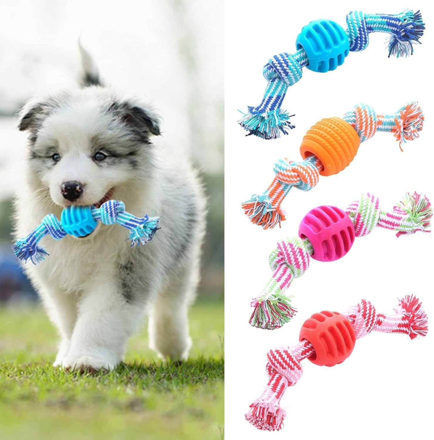 Juguete Mordedor con Cuerda para Perros – Diversión, Limpieza y Bienestar Oral en Uno