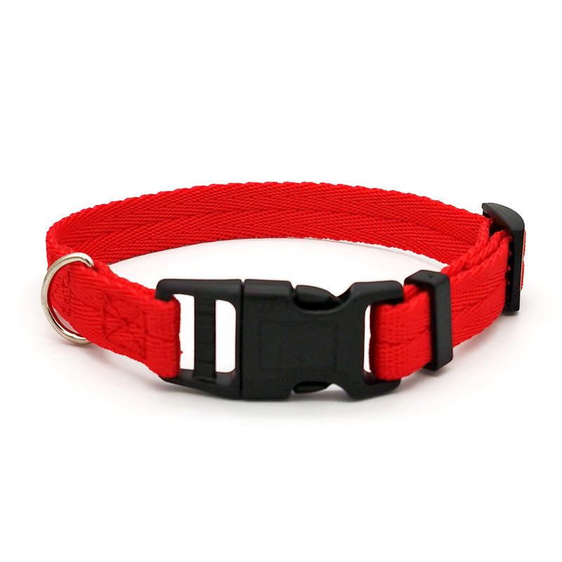 Collar Anti-Tensión de Color Sólido para Perros – Resistente, Ajustable y Seguro