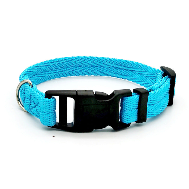 Collar Anti-Tensión de Color Sólido para Perros – Resistente, Ajustable y Seguro