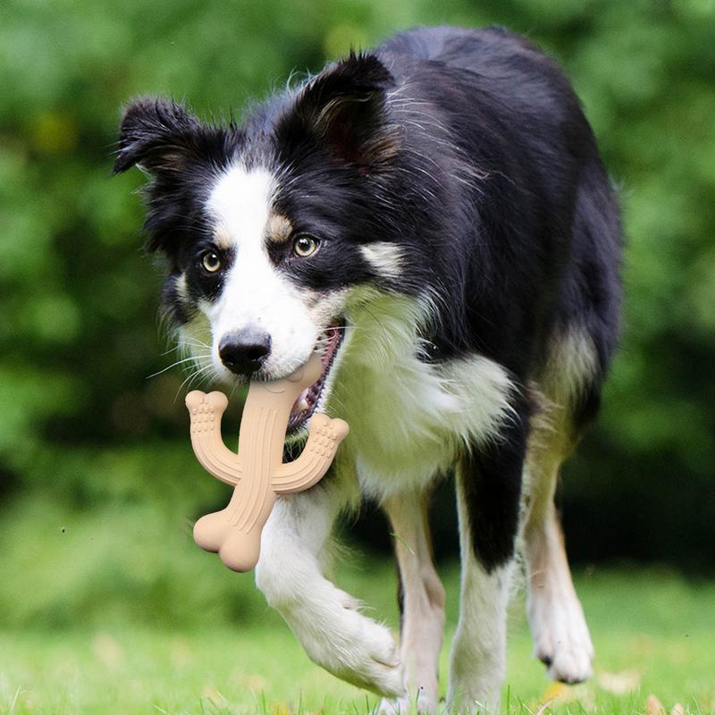 Mordedor Cactus para Perros – Juguete Interactivo y Ultra Duradero