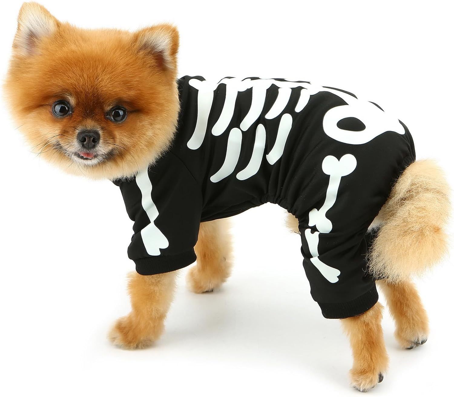 Disfraz Jumpsuit Esqueleto que Brilla en la Oscuridad – Divertido y Seguro para Halloween