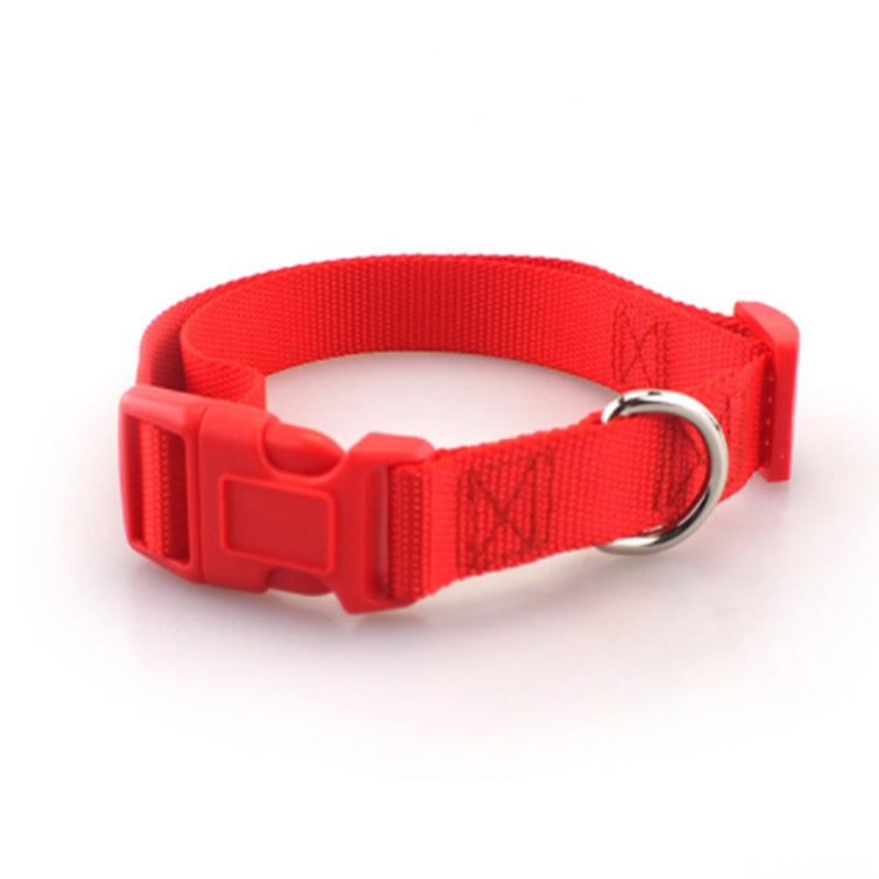Collar Liso de Poliéster y Nylon para Perros – Ligero, Resistente y Versátil