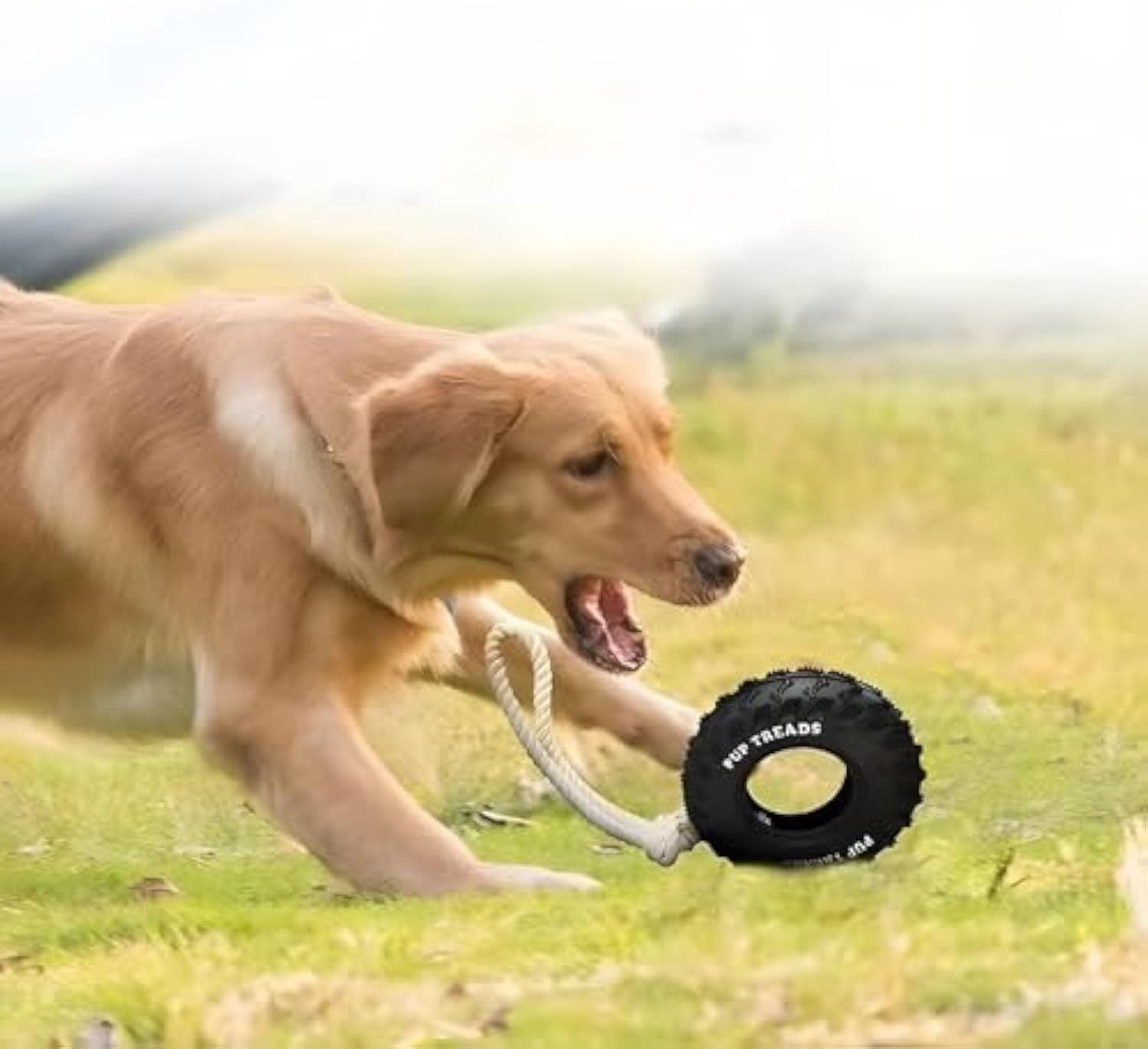 Juguete Duradero para Perros Masticadores Fuertes – Interactivo y Resistente para Razas Grandes