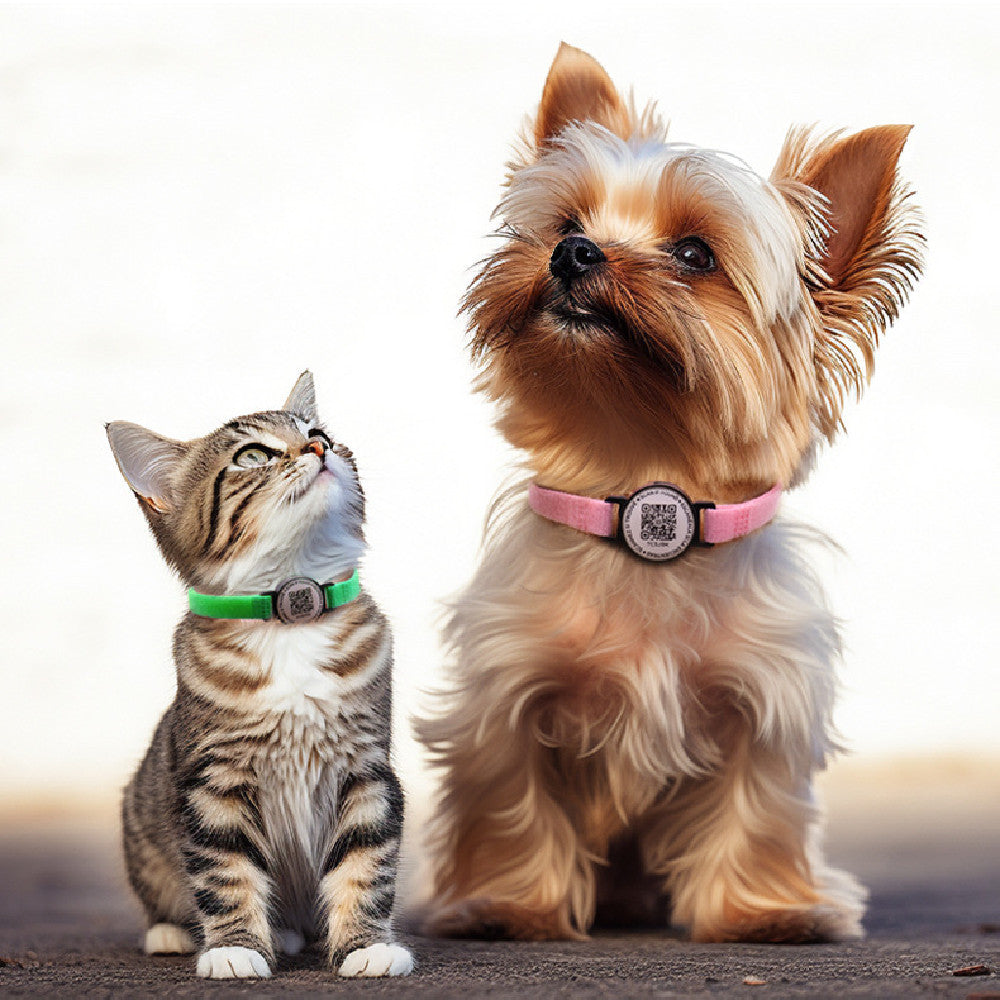 Collar con Código QR Anti-Pérdida para Perros – Identificación Moderna y Segura