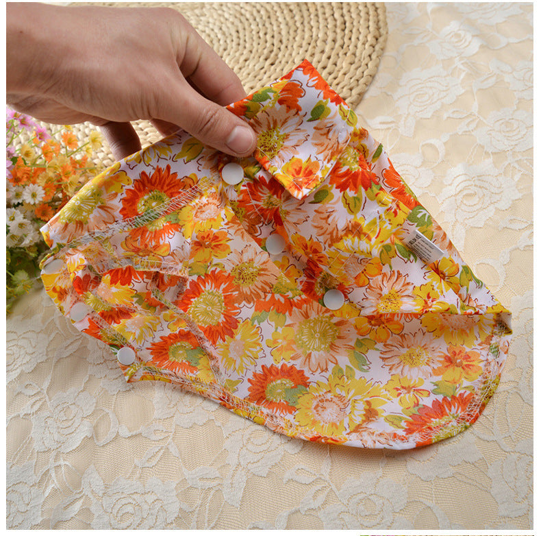 Vestido Primavera–Verano Estilo Western para Perros – Ligero, Elegante y Femenino