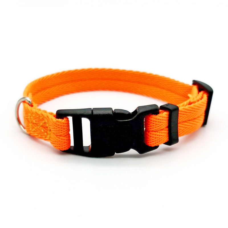 Collar Anti-Tensión de Color Sólido para Perros – Resistente, Ajustable y Seguro