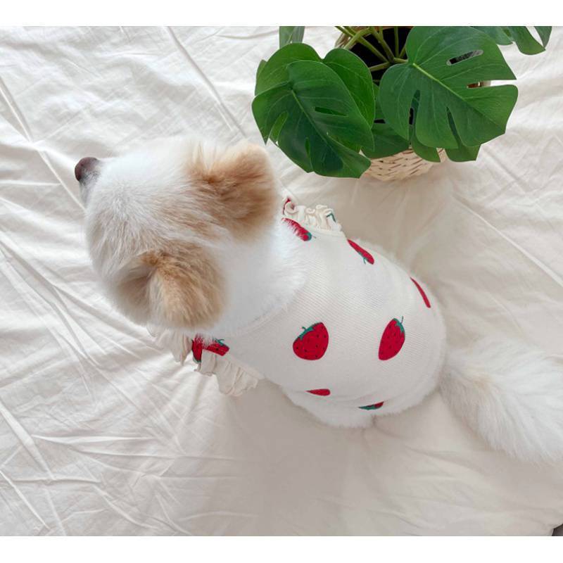 Sudadera con Estampado de Fresas para Perros Pequeños – Fresca, Suave y Dulce Como Ellos