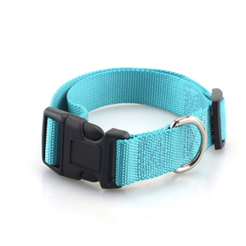Collar Liso de Poliéster y Nylon para Perros – Ligero, Resistente y Versátil
