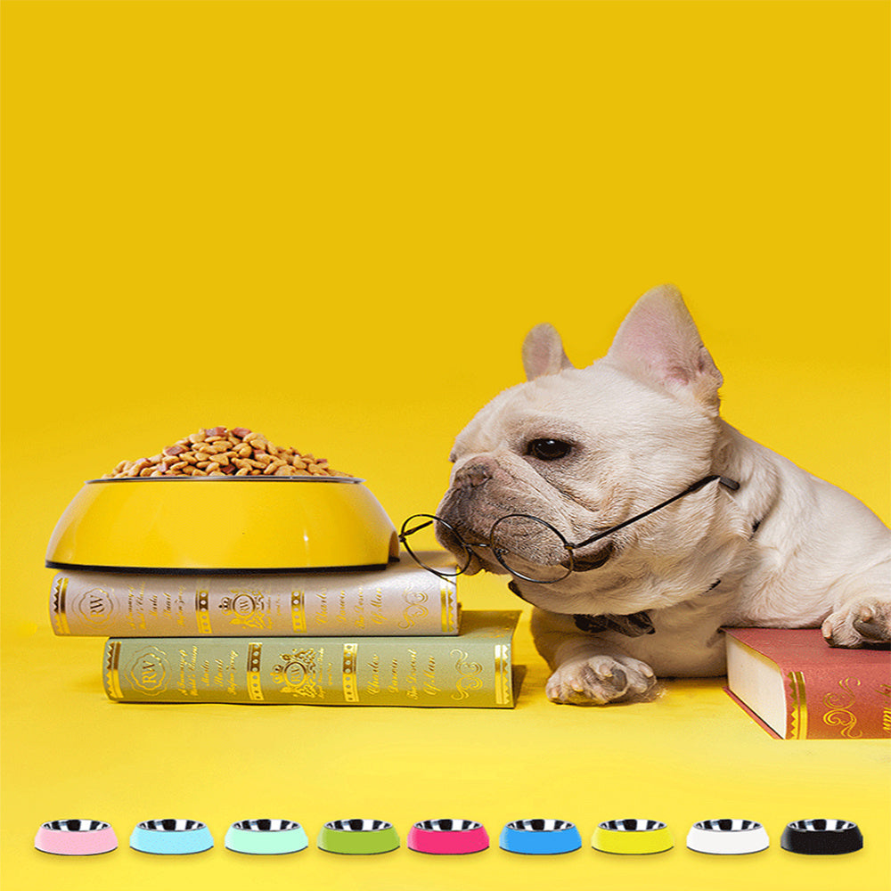Comedero Premium de Acero Inoxidable Antideslizante para Perros – Grande