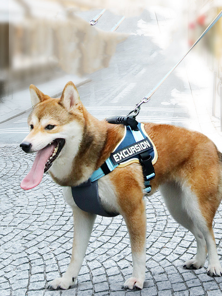 Arnés Tipo Chaleco Hiker para Perros – Comodidad y Estilo para Aventureros
