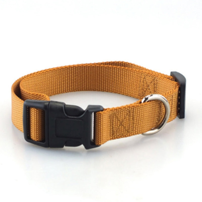 Collar Liso de Poliéster y Nylon para Perros – Ligero, Resistente y Versátil