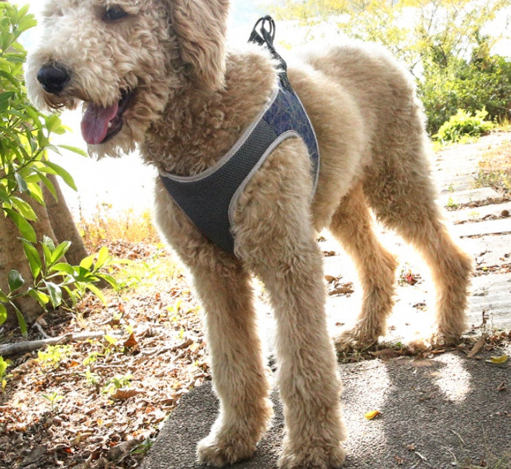 Arnés Chaleco para Perros – Cómodo, Seguro y Ajustable