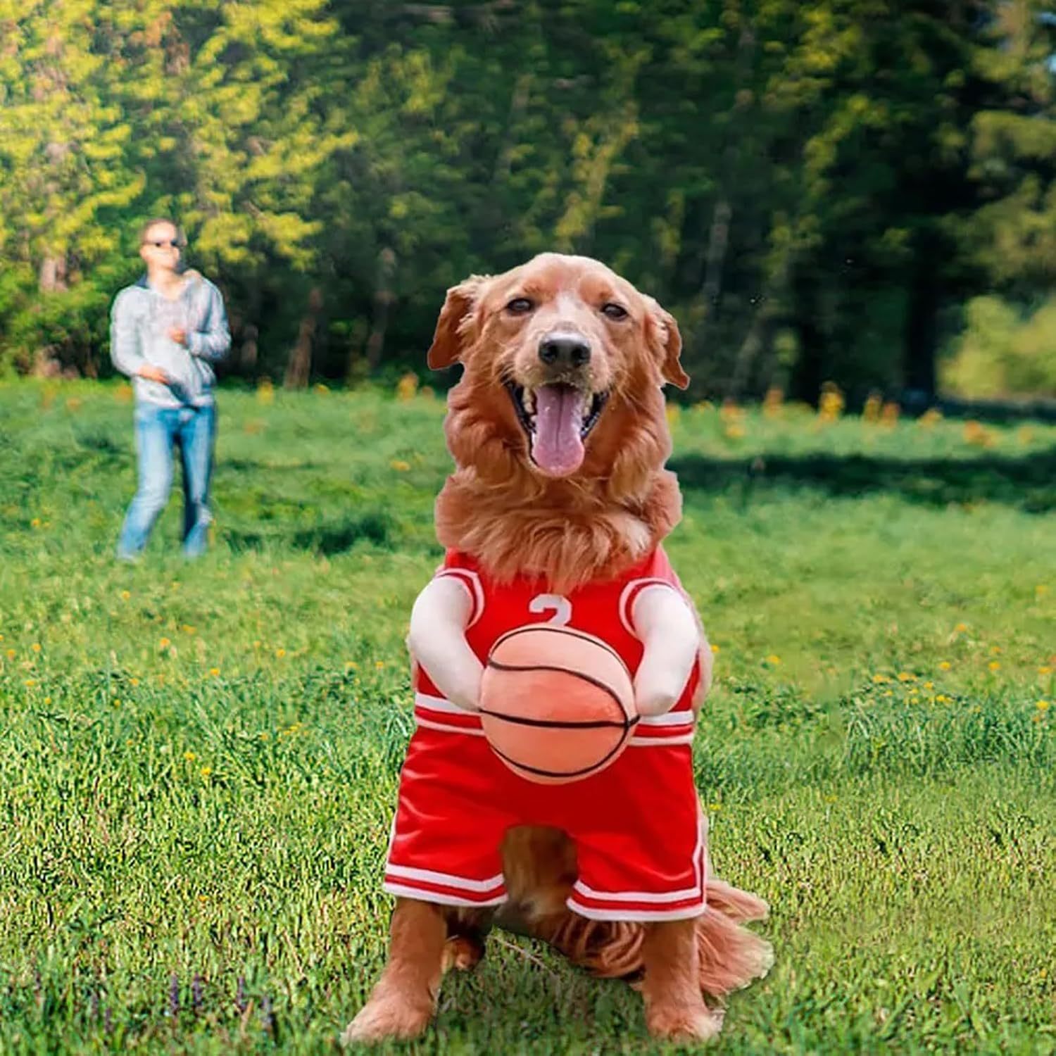 Disfraz de Jugador de Baloncesto para Perros – Divertido, Deportivo