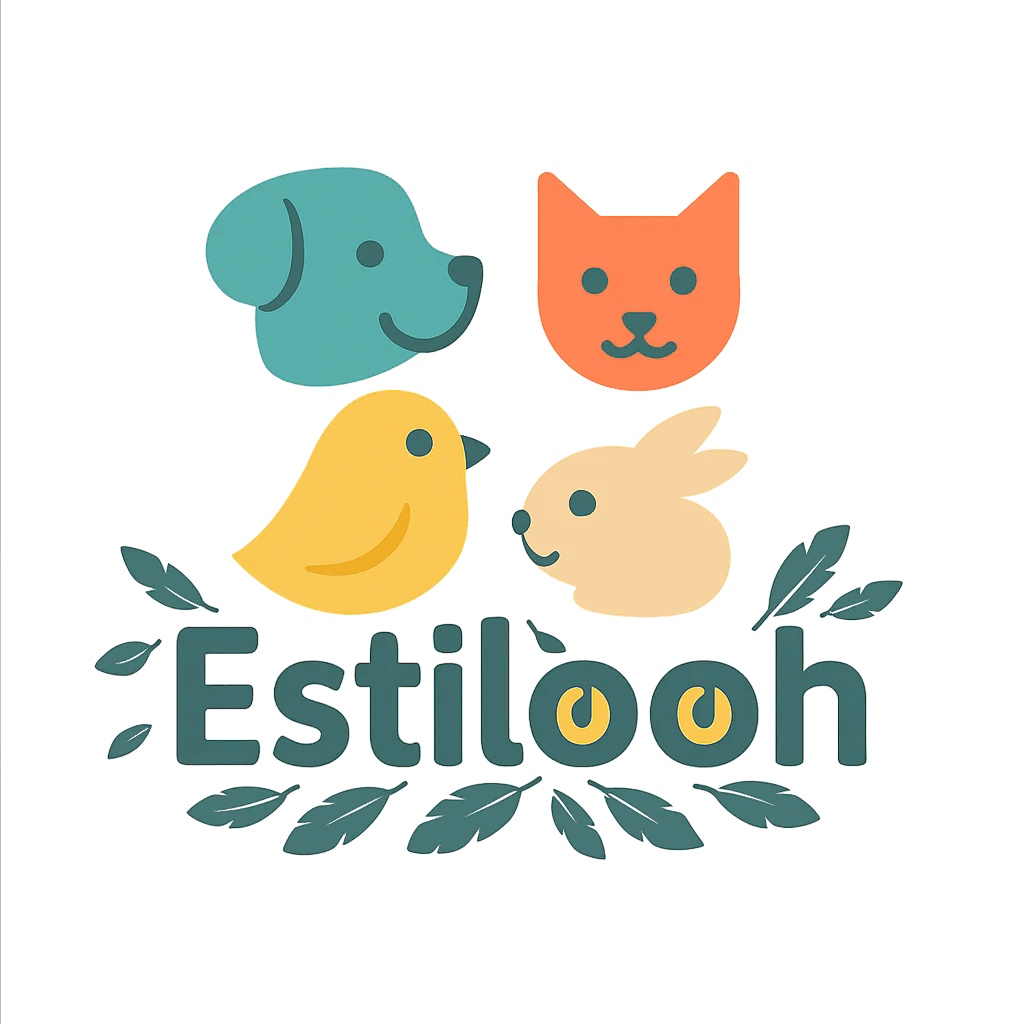 Estilooh